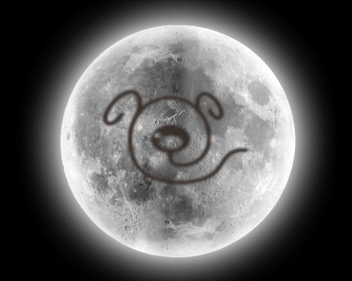 lunaperro