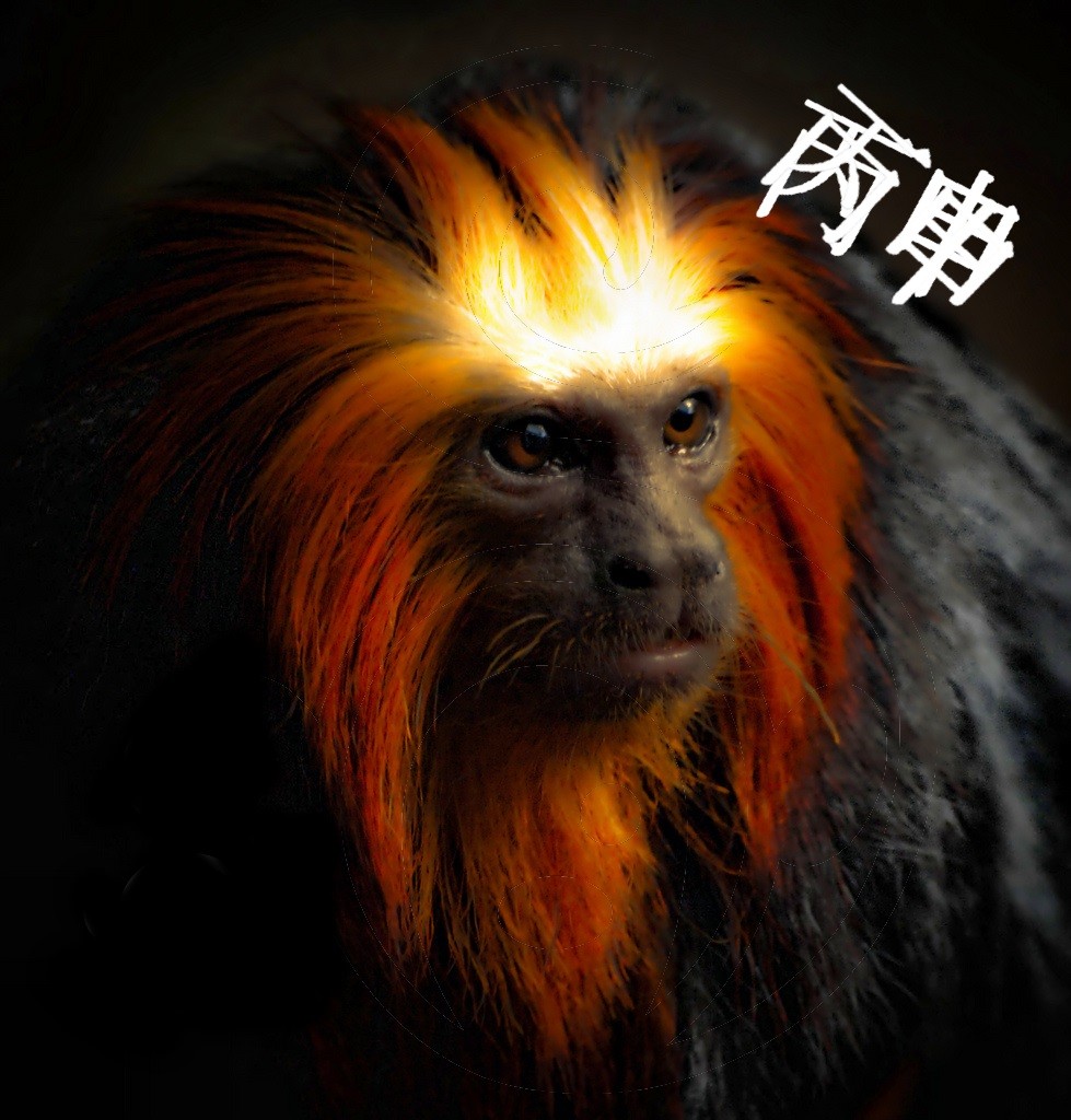 YEAR OF THE MONKEY