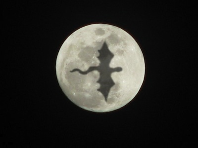 DragonMoon1